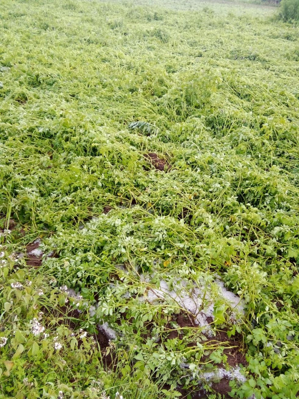 La granizada se registró el pasado jueves en la comunidad Pilalo.