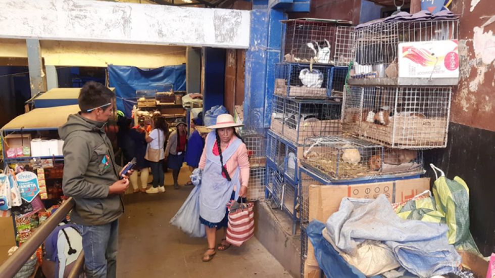 COMERCIO. El sector de venta de aves de corral en el populoso centro de abasto de la Capital.