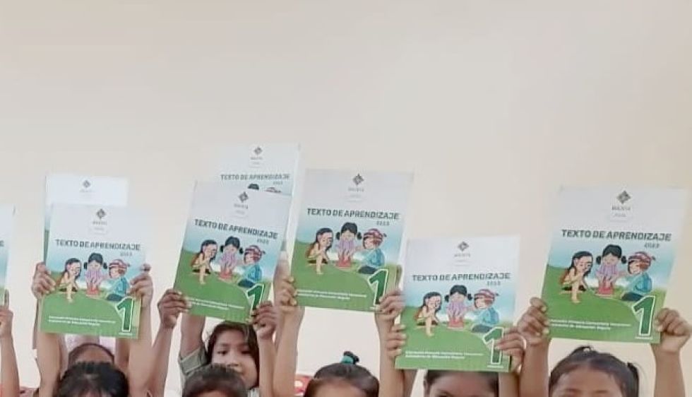 Imagen referencial de los textos con los nuevos contenidos curriculares
