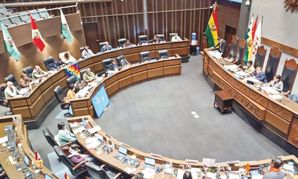 ASAMBLEA. El proyecto de ley pasó a la Cámara de Senadores, que sesiona hoy, desde las 8:00.