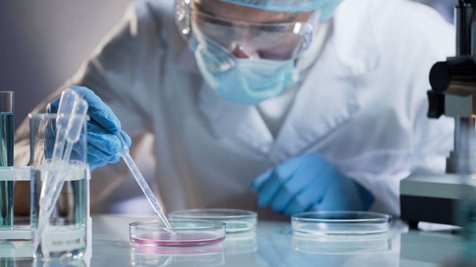 Investigadores de Iowa desarrollaron una nueva molécula capaz de reconocer con gran precisión las células tumorales