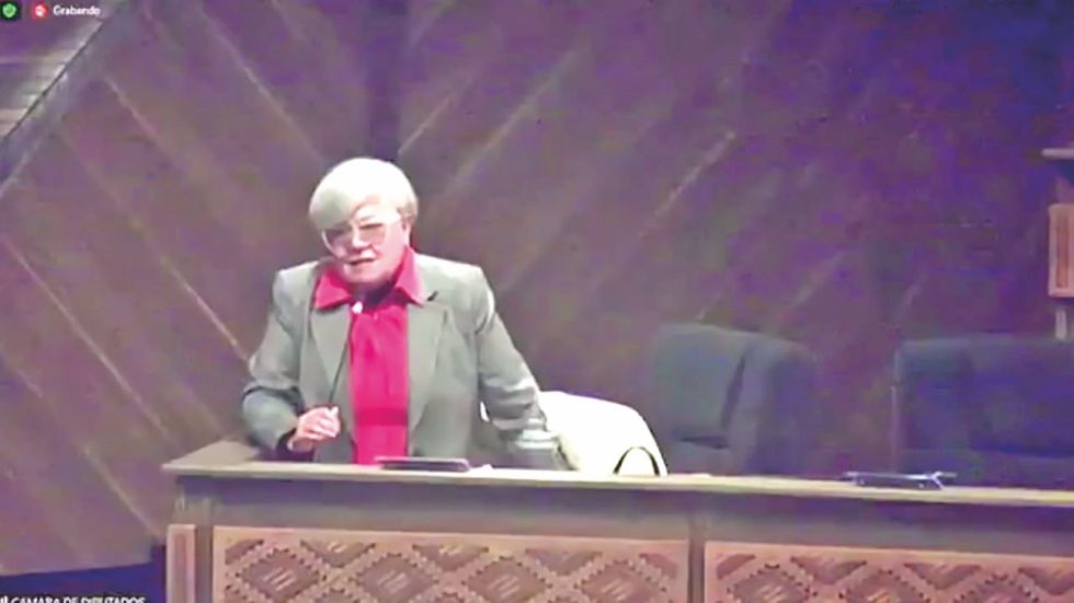 LA PAZ. La senadora de CC Silvia Salame durante la sesión de interpelación a Lima.