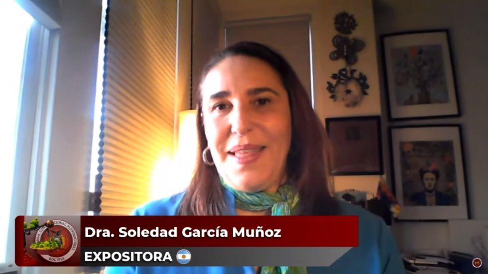 La Relatora Especial sobre Derechos Económicos, Sociales, Culturales y Ambientales de la CIDH, Soledad García.