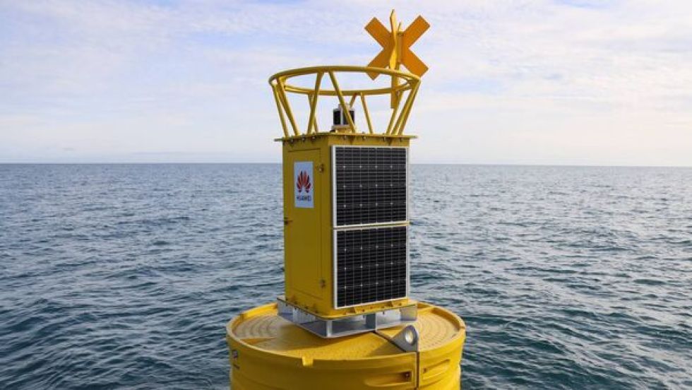 Huawei y ORCA se unen para proteger la vida marina en Irlanda con modelos de inteligencia artificial