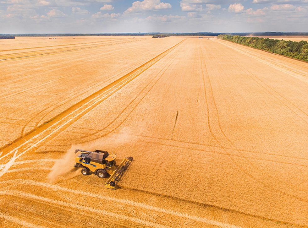 El enclaustramiento de Ucrania y la crisis alimentaria