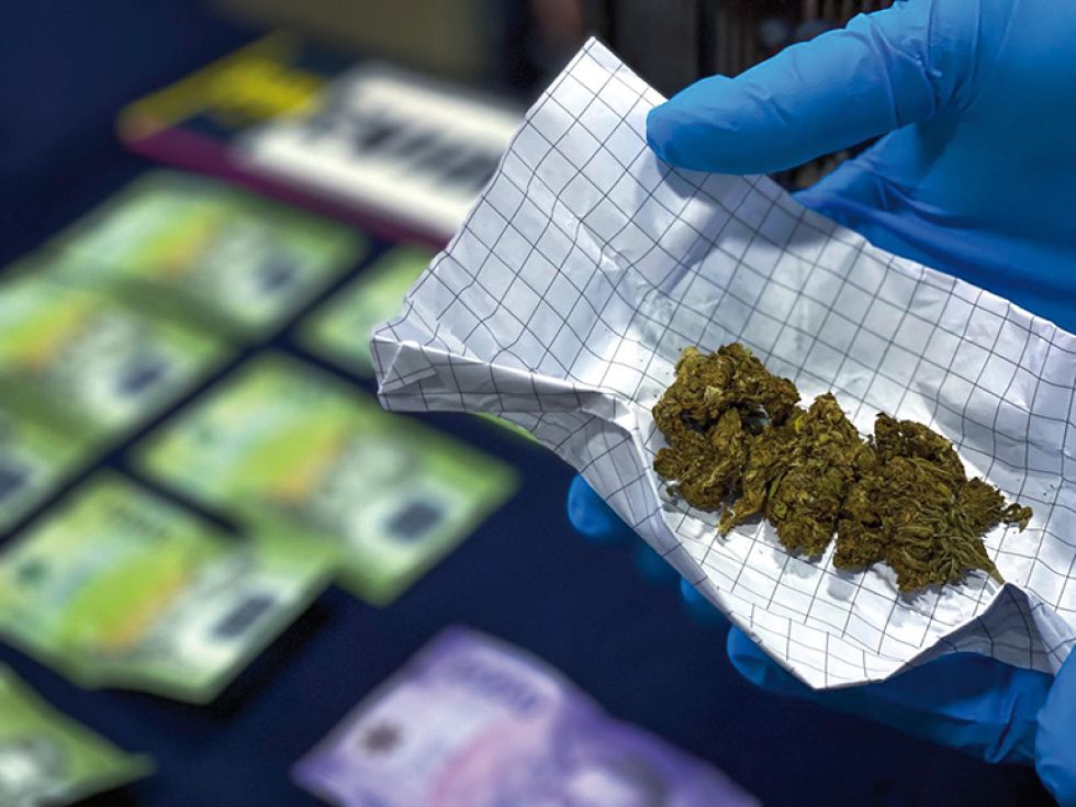 EVIDENCIA. El narcotráfico en Sucre se circunscribe a la venta de marihuana fundamentalmente.
