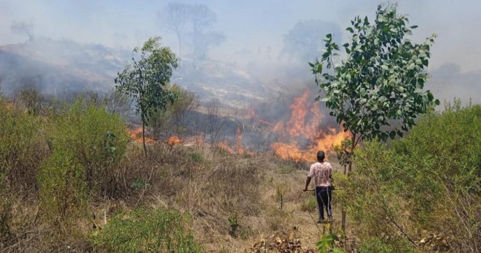 CHAQUEO. Un área devastada por el fuego en una comunidad del departamento de Chuquisaca.