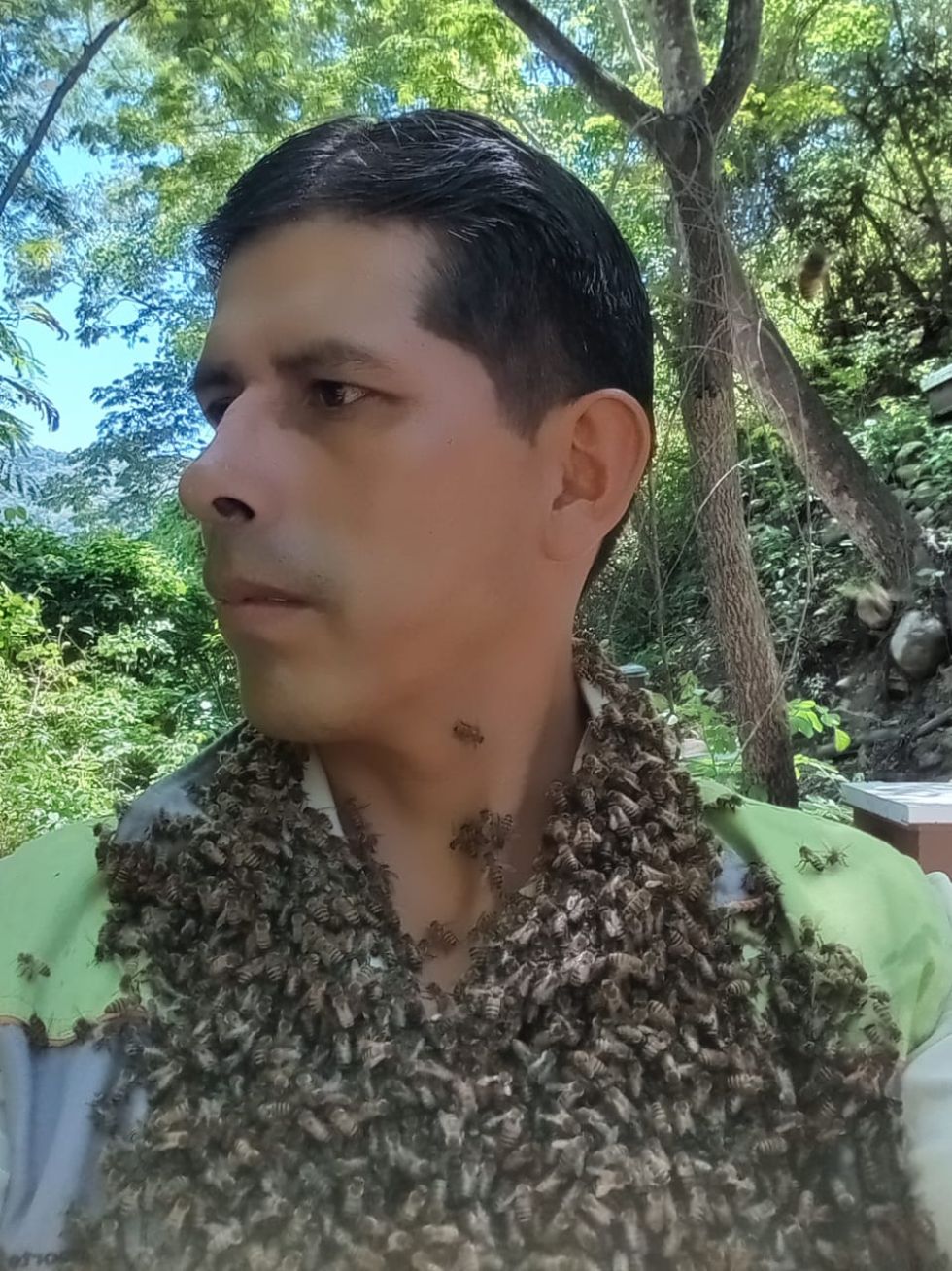 Eusebio Pinto, apicultor y papá, listo con sus abejas. GENTILEZA