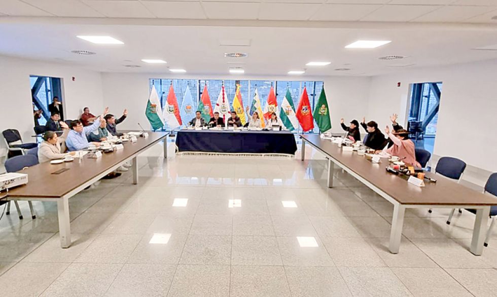 SESIÓN. La Comisión Mixta de Constitución de la Asamblea Legislativa Plurinacional, ayer.