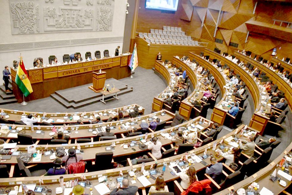 LA PAZ. La sesión de la Cámara de Diputados en la que “evistas” y una mayoría de opositores rechazó sesionar en la Capital.