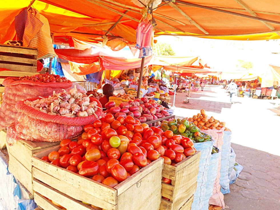 SUCRE. El sector de hortalizas y verduras en el mercado “El Morro”, donde también se ofrece productos al por mayor.