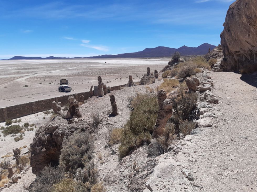 Los senderos y los corales en forma de cactus pétreos.