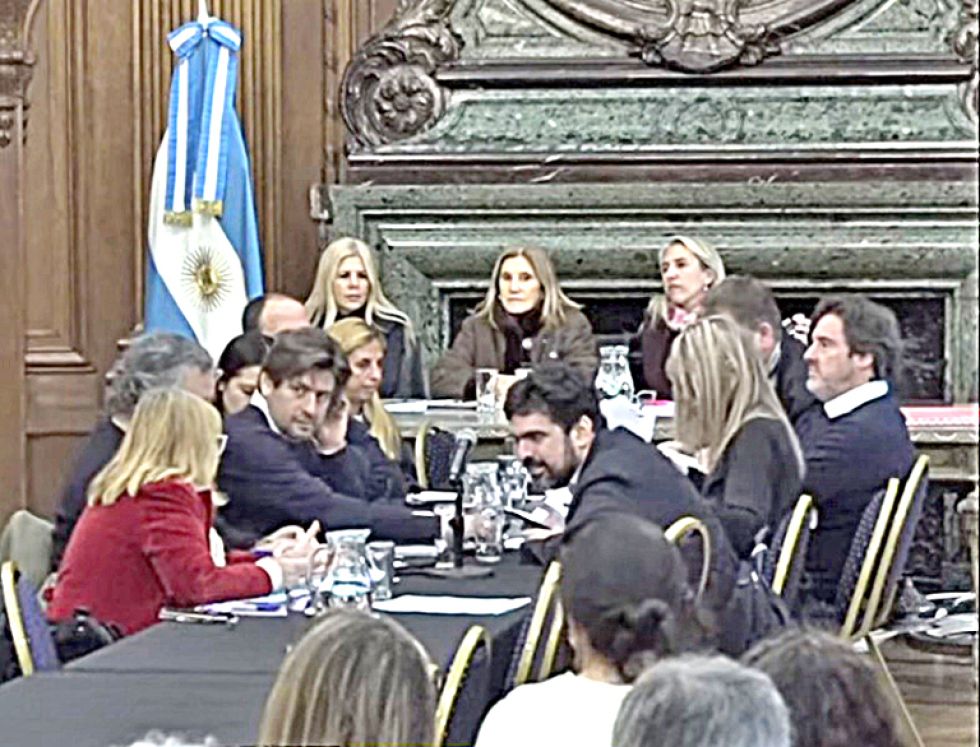 LEGISLATURA. La reunión de la Comisión de Cultura celebrada el miércoles en el Salón San Martín.