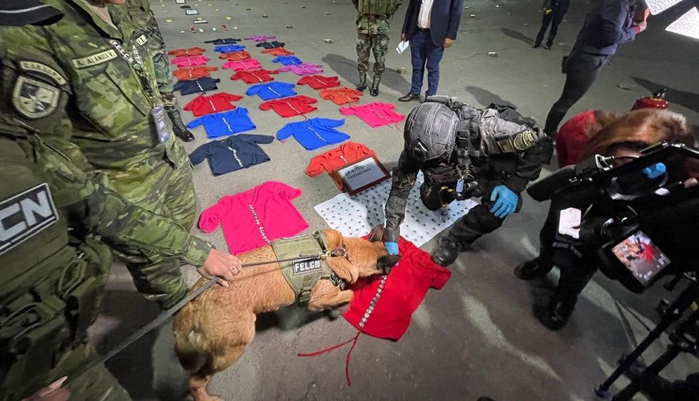 Más de 123 kilos de cocaína y 3 kilos de marihuana fueron incautados en distintos operativos .