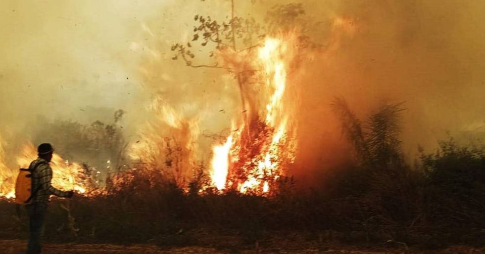 Los incendios azotan en varias regiones del país. 