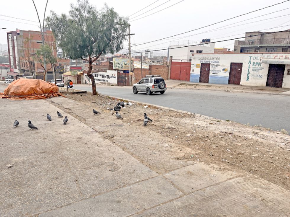 SECTOR. Espacio sobre la avenida Juana Azurduy de Padilla, donde se encontraban los contenedores de basura.