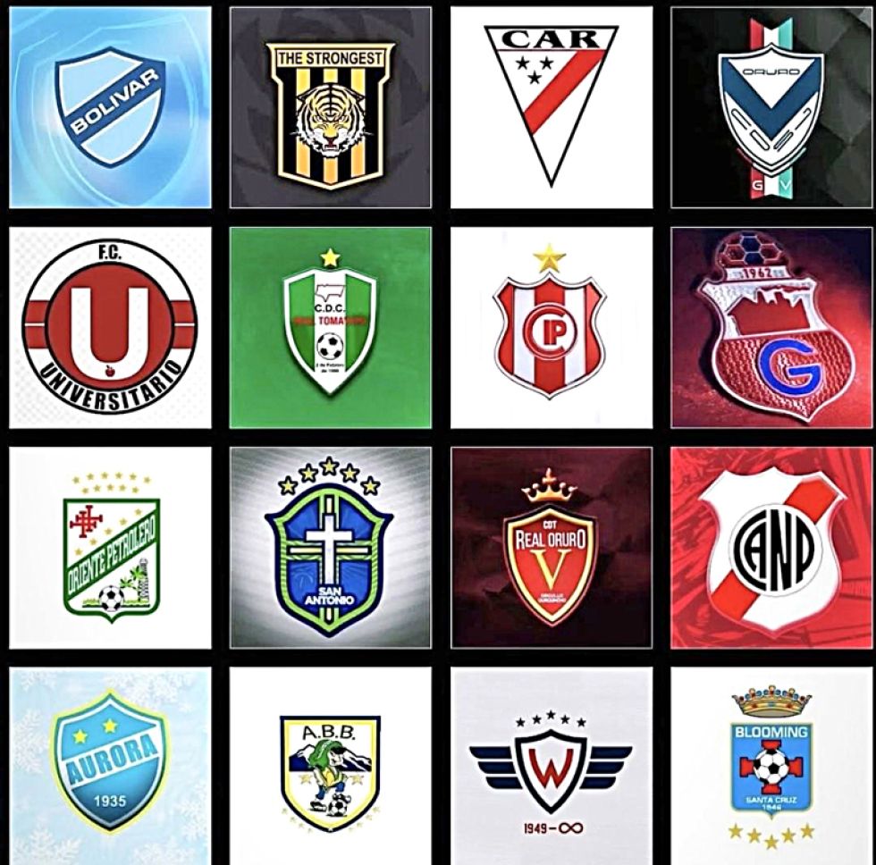 Los 16 clubes que este año jugarán los torneos de la División Profesional del fútbol boliviano.