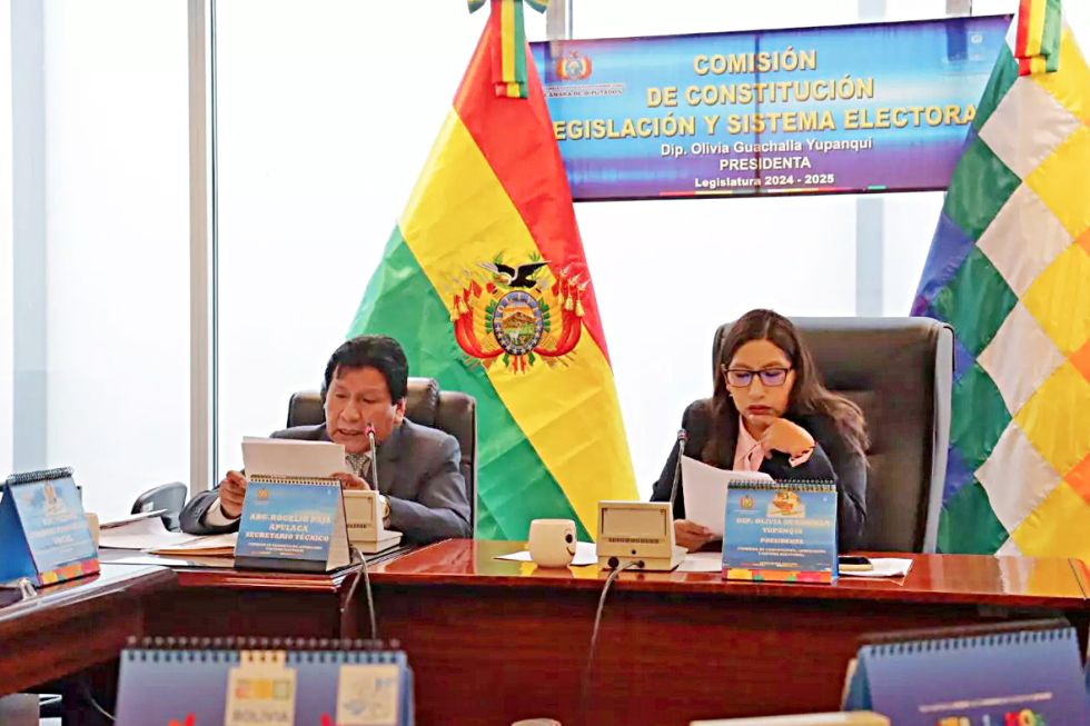 LA PAZ. La diputada Olivia Guachalla, presidiendo una sesión de su comisión.