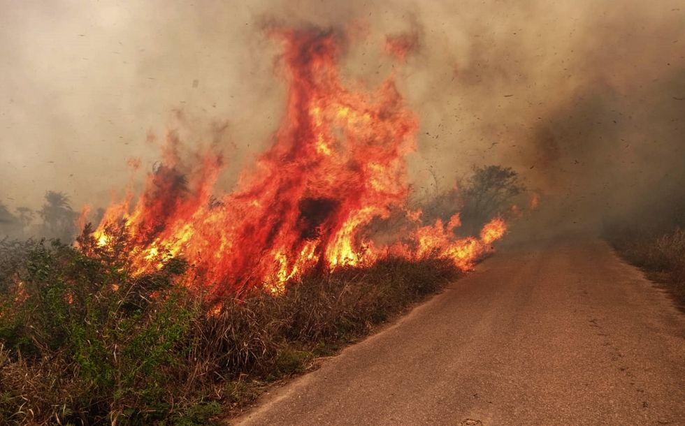 La magnitud de los incendios del año pasado llevó al Gobierno a declarar situación de desastre nacional.