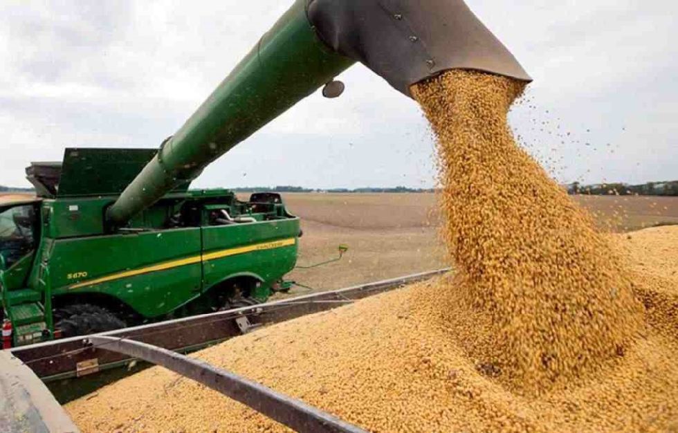 POTENCIAL. La cosecha de soya, uno de los principales productos de exportación de Bolivia.