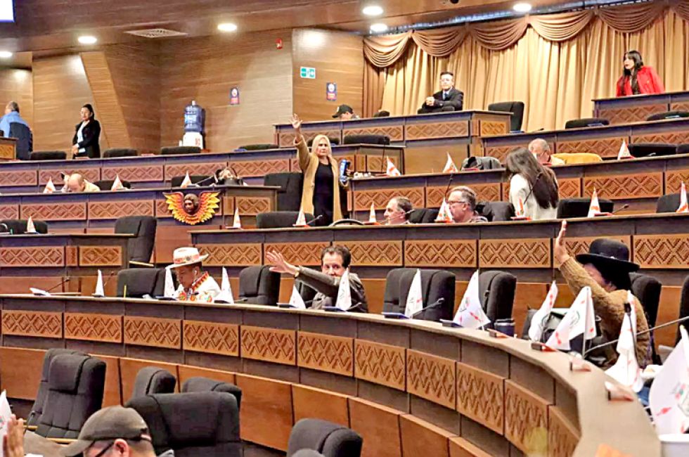 SESIÓN. Legisladores cuando aprobaban la ley que garantiza el principio de preclusión electoral.