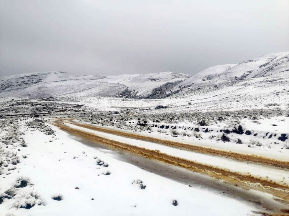 FRÍO. Una imagen de la nevada en Pampa Huasi, Tarvita, registrada a mediados de abril.
