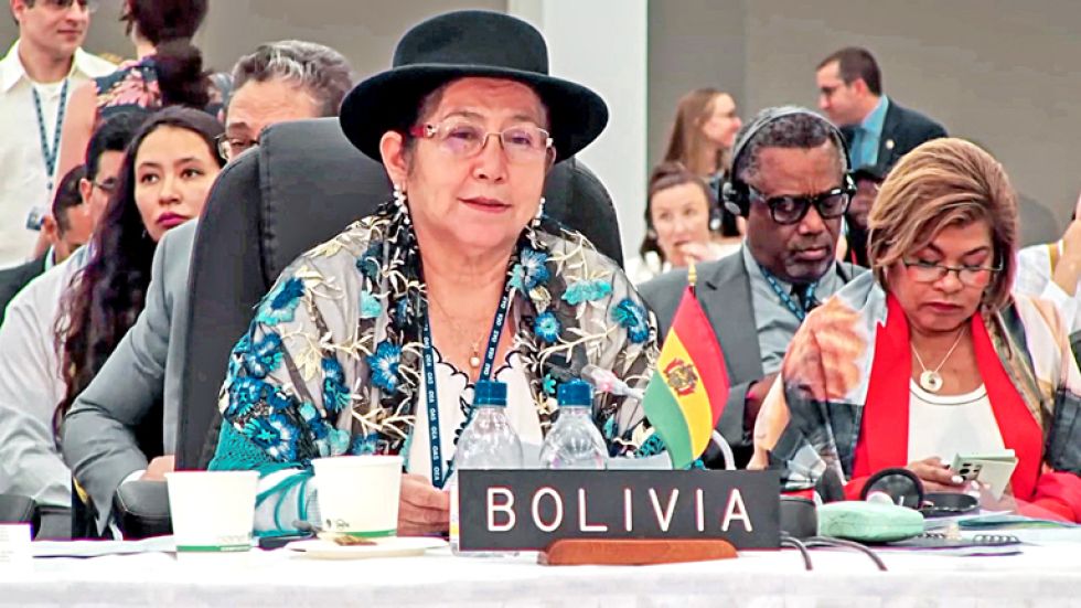 CANCILLER. Celinda Sosa, durante su intervención en la Asamblea General de la OEA.