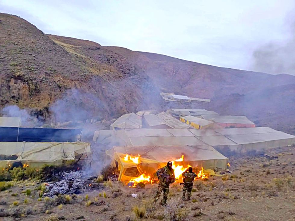 SITUACIÓN. La destrucción de cultivos de marihuana en Llallagua, en un operativo reciente.