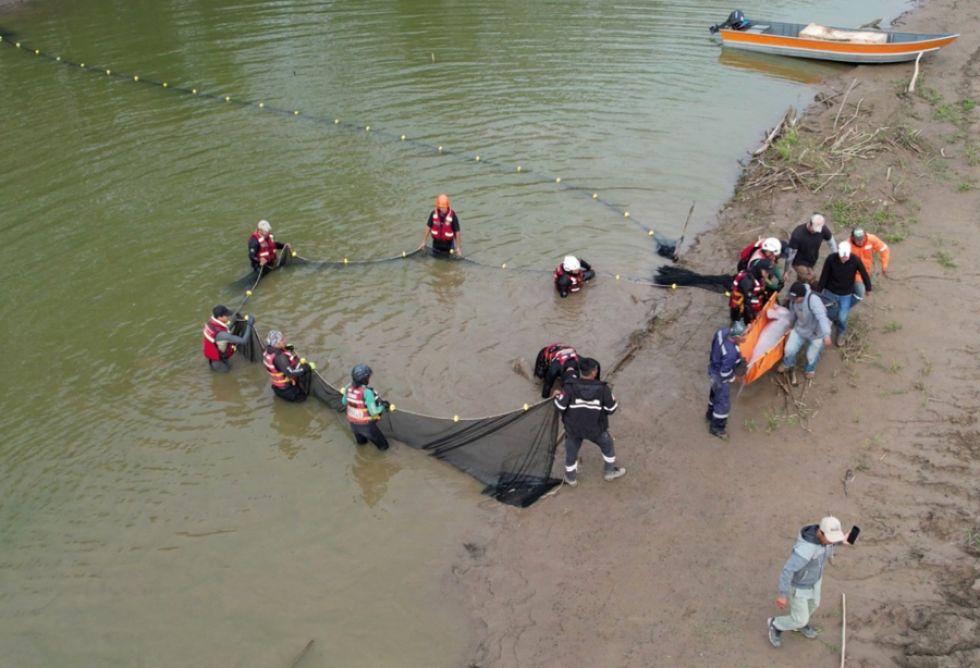 El rescate de bufeos o delfines de río ocurrido entre el 21 y el 25 de junio de 2025, en Santa Cruz.