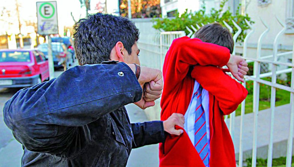 TIPOLOGÍA. La violencia física entre pares tiene un mayor porcentaje de los casos.