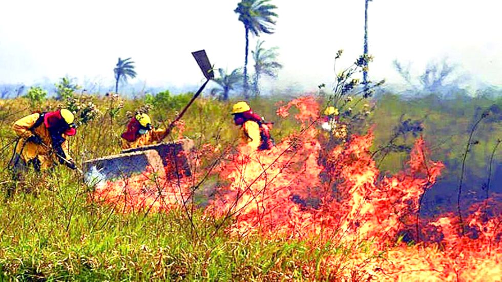 ALERTA. Identifican focos de calor principalmente en el departamento de Santa Cruz.