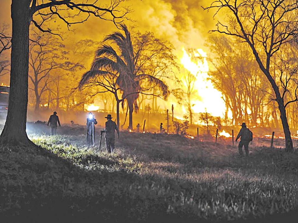 TRAGEDIA. Los incendios durante la gestión 2024 afectaron a más de 12,6 millones de hectáreas en todo el país.