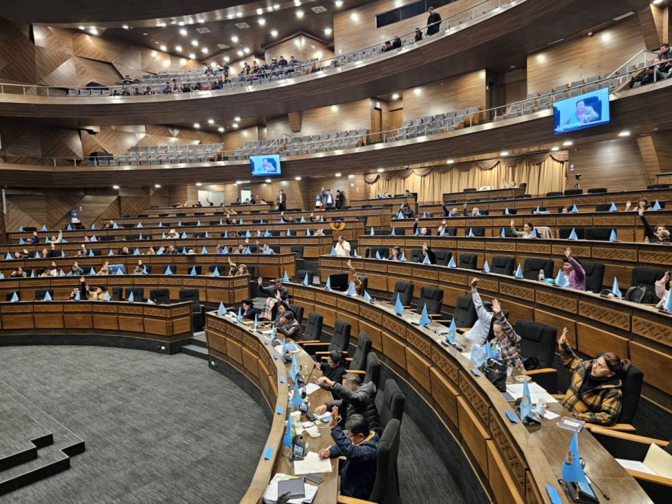 El proyecto de ley de protección a menores en entornos digitales fue aprobado en la Cámara de Diputados.