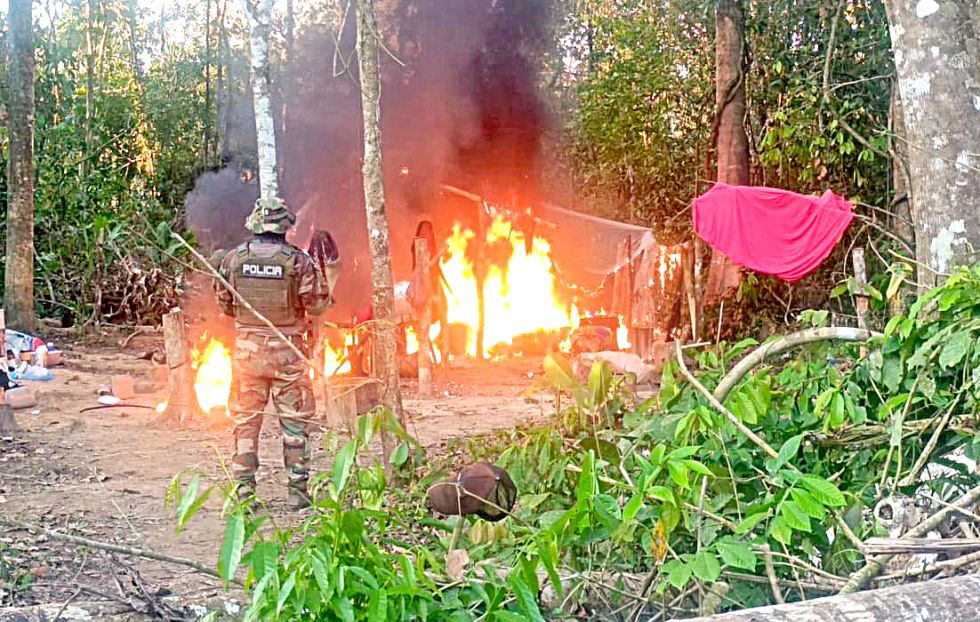 DROGA. Plantaciones de marihuana en Yapacaní. El narcotráfico ha ido dejando huellas más claras en los últimos años.
