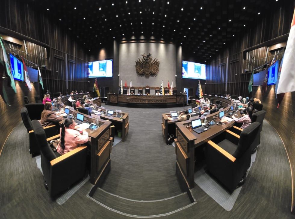 Vista del hemiciclo de la Cámara de Senadores.