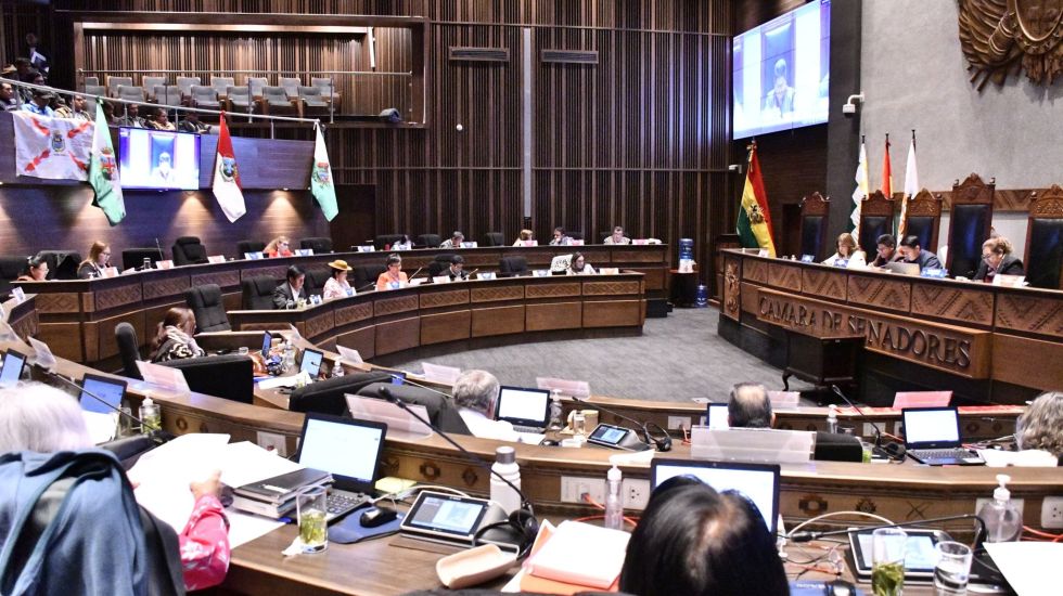 Sesión en la Cámara de Senadores.