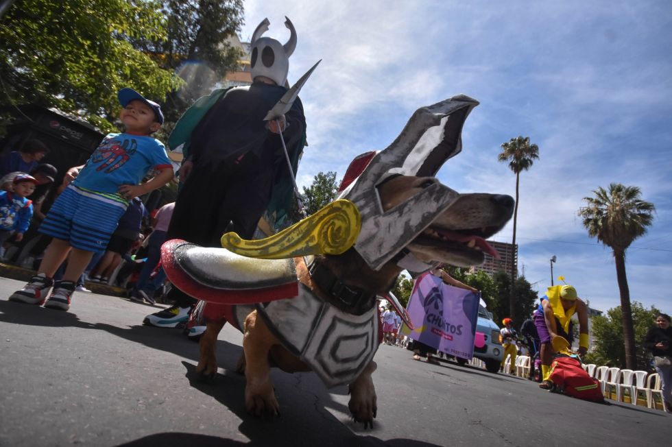El Corso de Mascotas se celebró el domingo en Cochabamba. 
