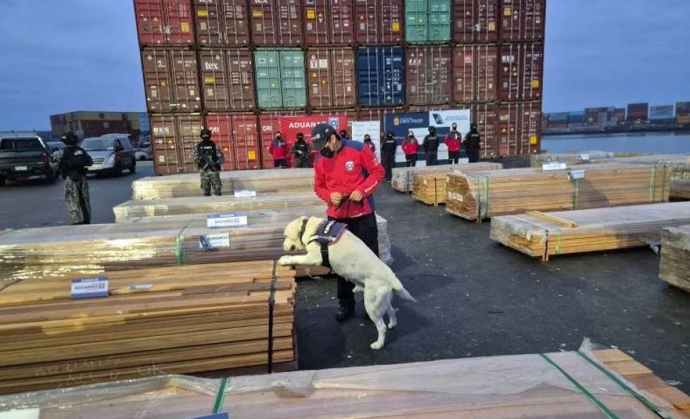 Droga impregnada en madera boliviana provenía “principalmente de Pando”, según fiscal de Chile
