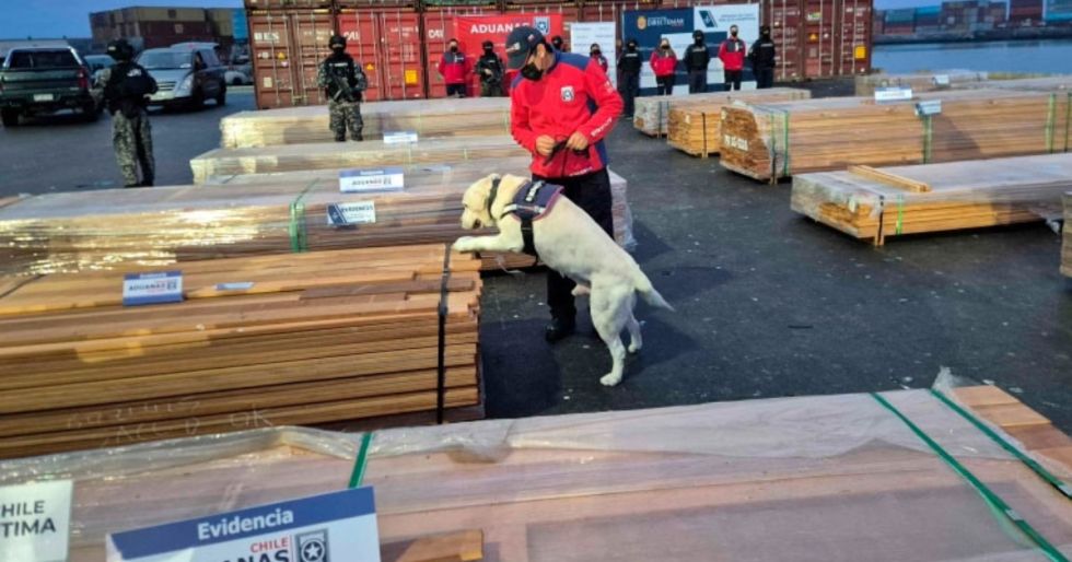 Autoridades chilenas habían reportado el caso